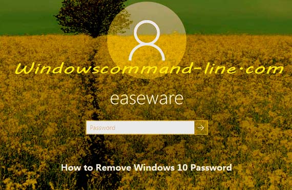 How to Remove Password Windows 10 - Step by Step