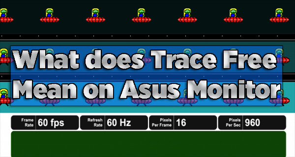 What does Trace Free Mean on Asus Monitor